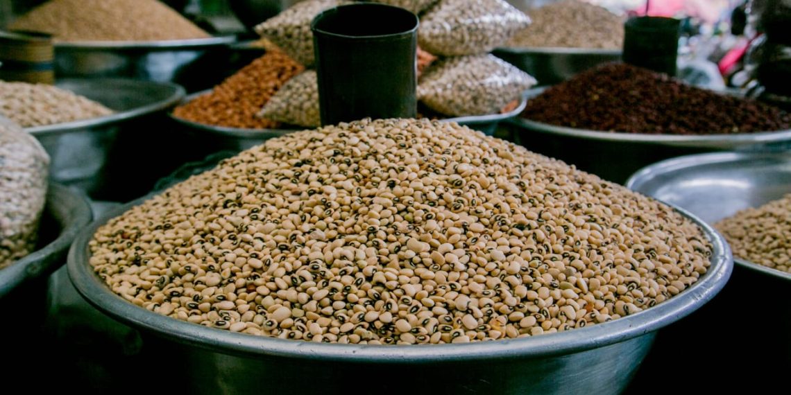 NASTAG WELCOMES GOVERNMENT’S INTERVENTION ON GRAIN GLUT, CALLS FOR BROADER POLICY REFORMS TO SECURE AGRICULTURAL FUTURE NASTAG WELCOMES GOVERNMENT’S INTERVENTION ON GRAIN GLUT, CALLS FOR BROADER POLICY REFORMS TO SECURE AGRICULTURAL FUTURE