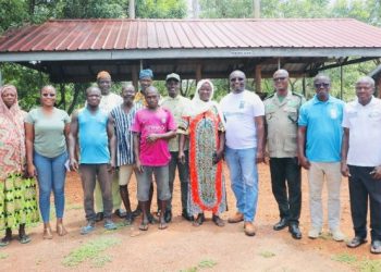 GSLERP drives transformation in Ghana’s shea sector