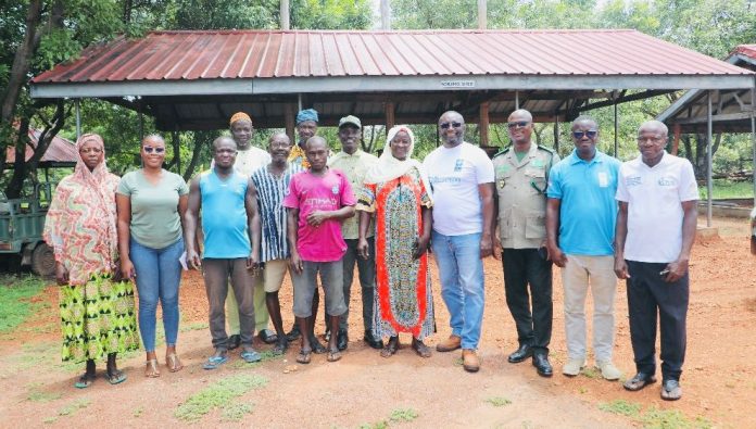 GSLERP drives transformation in Ghana’s shea sector GSLERP drives transformation in Ghana’s shea sector