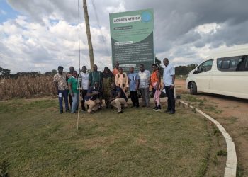 Csir–Cri Hosts Gambian Delegation On Scientific Visit To Strengthen Regional Agricultural Collaboration