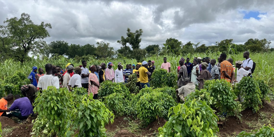 CSIR–SARI Empowers Farmers in Soybean Variety Selection to Boost Yields and Adoption CSIR–SARI Empowers Farmers in Soybean Variety Selection to Boost Yields and Adoption