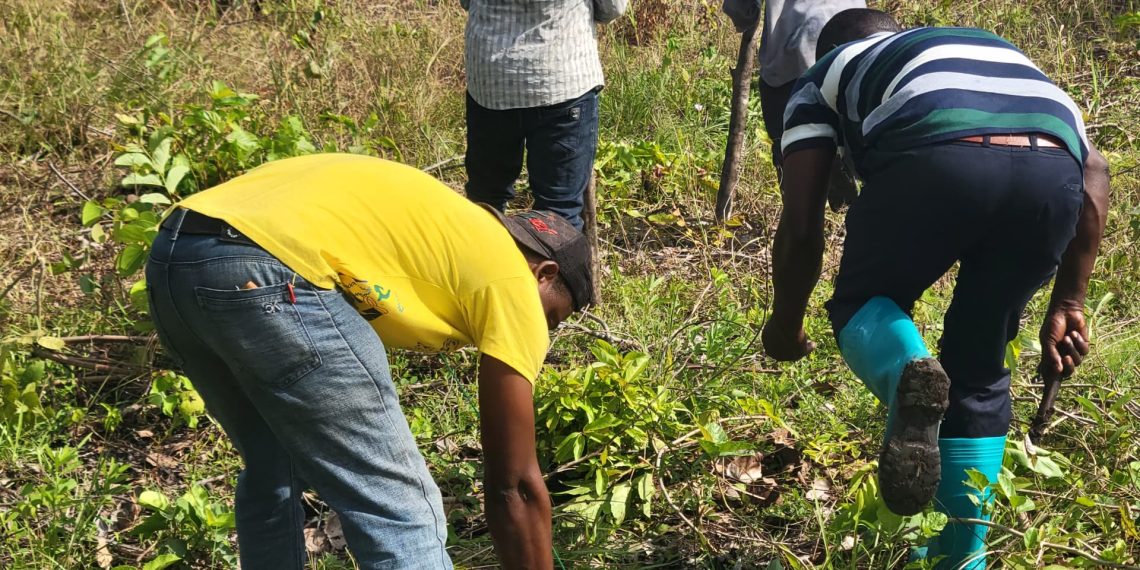 Volta Youth in Agriculture Applauds Agric Minister’s Decision to Host Farmers’ Day in Ho Volta Youth in Agriculture Applauds Agric Minister’s Decision to Host Farmers’ Day in Ho
