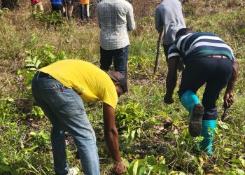 Volta Youth in Agriculture Applauds Agric Minister’s Decision to Host Farmers’ Day in Ho