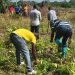 Volta Youth in Agriculture Applauds Agric Minister’s Decision to Host Farmers’ Day in Ho Volta Youth in Agriculture Applauds Agric Minister’s Decision to Host Farmers’ Day in Ho