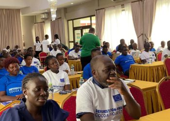 EU launches £2m project to promote deforestation-free cocoa in Ghana