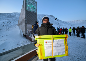 Africa’s Vegetable Genebank Makes Largest-Ever Deposit of Traditional African Vegetable Seeds in Global Repository Africa’s Vegetable Genebank Makes Largest-Ever Deposit of Traditional African Vegetable Seeds in Global Repository