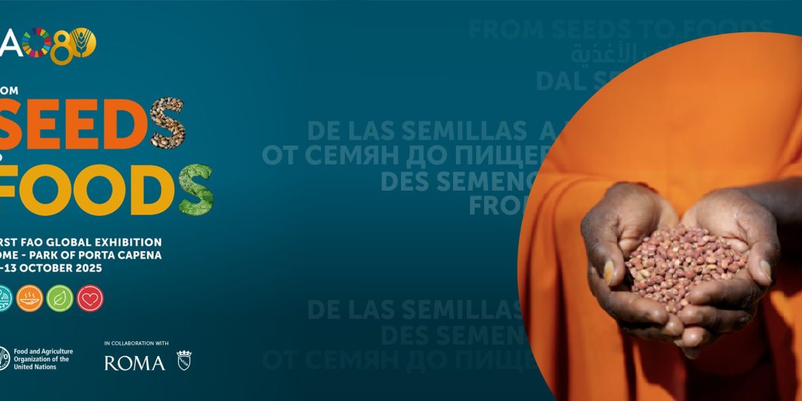 Global exhibition “From Seeds to Foods” kicks off FAO’s 80th Anniversary celebrations Global exhibition “From Seeds to Foods” kicks off FAO’s 80th Anniversary celebrations