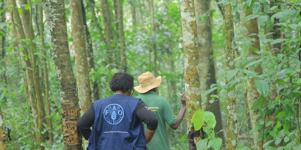 Uganda secures  million from Green Climate Fund for Africa’s first results-based climate project Uganda secures  million from Green Climate Fund for Africa’s first results-based climate project