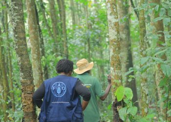 Uganda secures  million from Green Climate Fund for Africa’s first results-based climate project