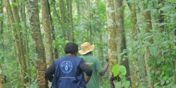 Uganda secures  million from Green Climate Fund for Africa’s first results-based climate project