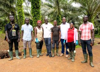 Ghana’s Oil Palm Industry An Avenue To Create Thousands Of Sustainable Jobs – Finance Minister