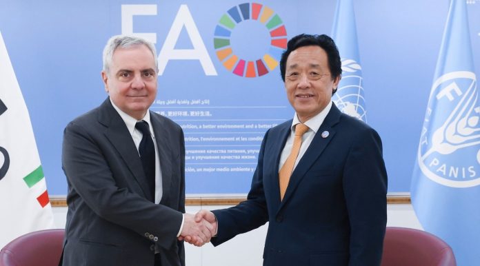 New TERRA programme boosts small and medium agrifood companies’ access to credit New TERRA programme boosts small and medium agrifood companies’ access to credit