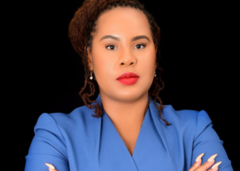 It is time to invest in Aeroponics: A practical path to food security and youth employment It is time to invest in Aeroponics: A practical path to food security and youth employment