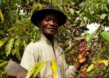 Celebrating Ivorian coffee and supporting communities in Côte d’Ivoire: a commitment by Nestle