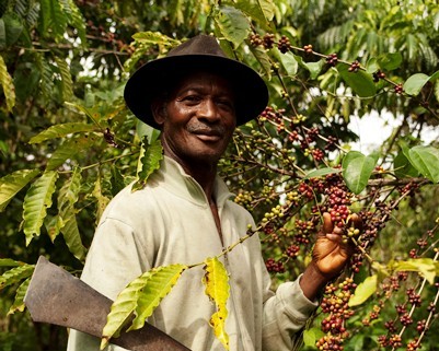 Celebrating Ivorian coffee and supporting communities in Côte d’Ivoire: a commitment by Nestle Celebrating Ivorian coffee and supporting communities in Côte d’Ivoire: a commitment by Nestle