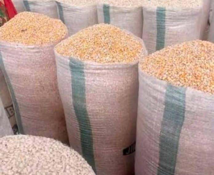 Maize farmers in Sissala enclave hit hard as prices fall by 60%