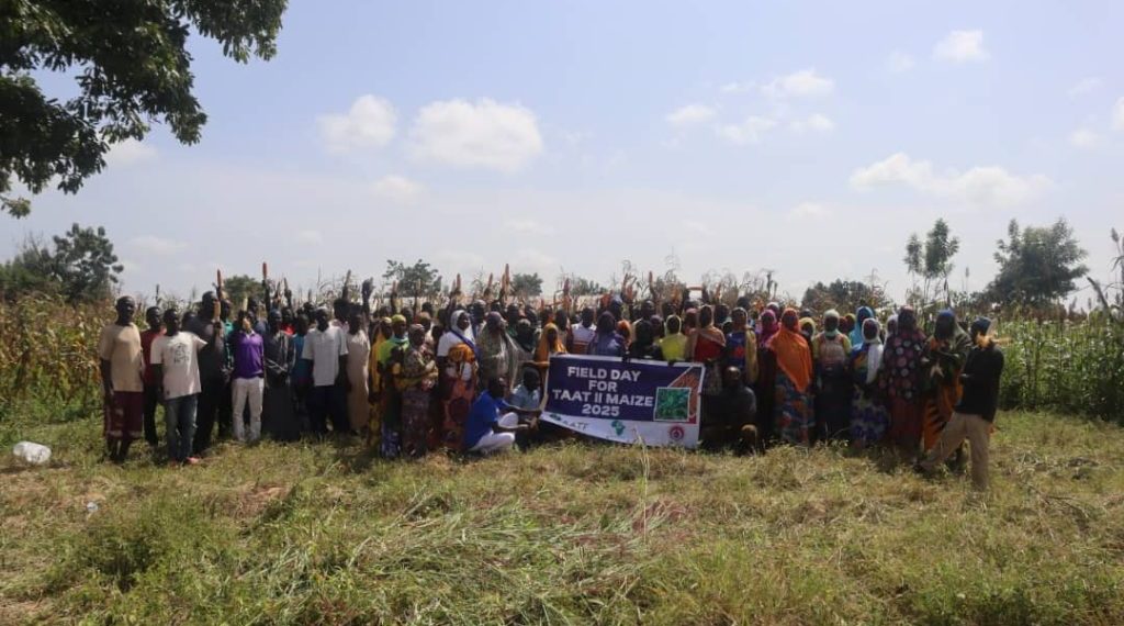 CSIR–SARI and MoFA Introduce Improved Maize Varieties to Boost Smallholder Productivity CSIR–SARI and MoFA Introduce Improved Maize Varieties to Boost Smallholder Productivity