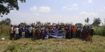 CSIR–SARI and MoFA Introduce Improved Maize Varieties to Boost Smallholder Productivity CSIR–SARI and MoFA Introduce Improved Maize Varieties to Boost Smallholder Productivity