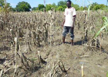 Thousands of farmers devastated by annual Bagre Dam spillage in Northern Ghana