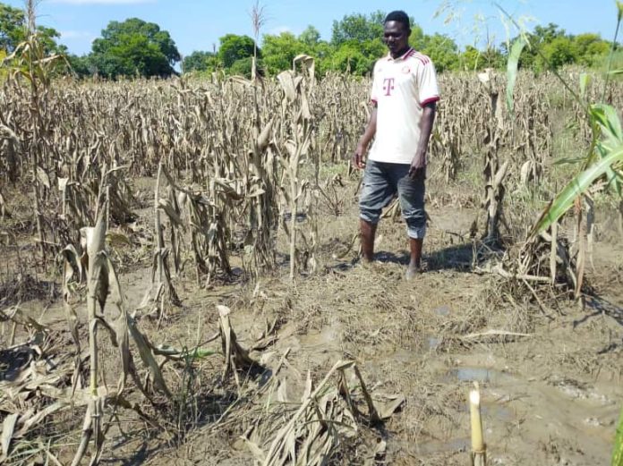 Thousands of farmers devastated by annual Bagre Dam spillage in Northern Ghana Thousands of farmers devastated by annual Bagre Dam spillage in Northern Ghana