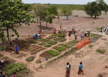 Developing nations at risk of missing out on the fruits of a new green economy- CSE