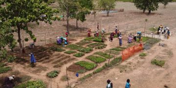 Developing nations at risk of missing out on the fruits of a new green economy- CSE