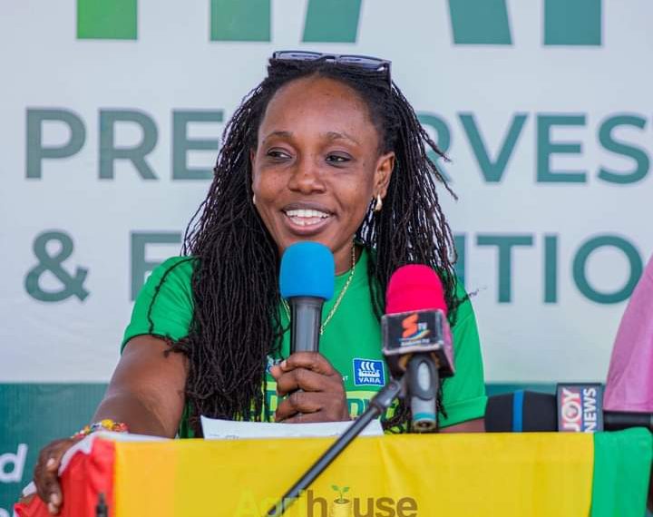 We’re focused on Bringing in the Youth to Build Vibrant Agri-Food Systems – Nana Akyaa Akosa Recounts WFF Ghana Success Story We’re focused on Bringing in the Youth to Build Vibrant Agri-Food Systems – Nana Akyaa Akosa Recounts WFF Ghana Success Story