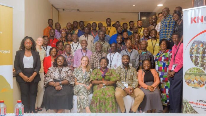 Dried Fruit Project to strengthen Ghana’s exports capacity and create jobs for the youth Dried Fruit Project to strengthen Ghana’s exports capacity and create jobs for the youth