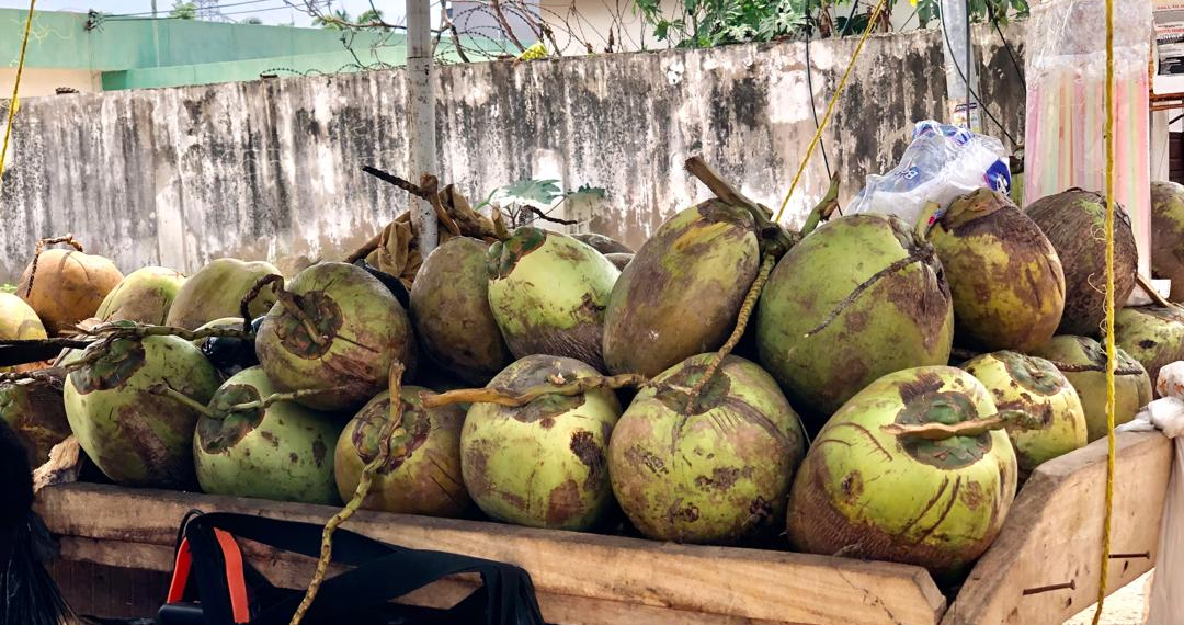Coconut Sellers Bemoan Over ‘Squeezed’ Market Space; Calls For Government’s Intervention