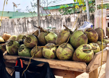 Coconut Sellers Bemoan Over ‘Squeezed’ Market Space; Calls For Government’s Intervention