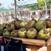 Coconut Sellers Bemoan Over ‘Squeezed’ Market Space; Calls For Government’s Intervention