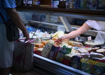 FAO-WHO 48th Session of the Codex Alimentarius Commission adopts new standards