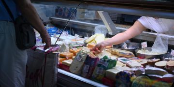 FAO-WHO 48th Session of the Codex Alimentarius Commission adopts new standards