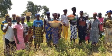 From Seed to Success: Lingbinsi Bloomers Begin Pepper Harvest Under ‘Boost to Bloom’ Project