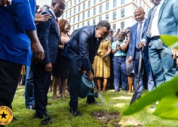 BOG Governor leads tree-planting exercise to mark Cedi@60