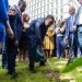 BOG Governor leads tree-planting exercise to mark Cedi@60