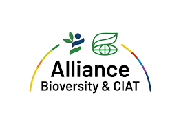 Alliance of Bioversity international ,CIAT enhances Climate Resilient Farming in Gushegu Alliance of Bioversity international ,CIAT enhances Climate Resilient Farming in Gushegu