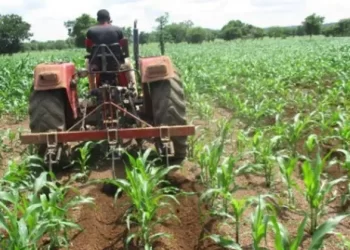 Farmer Service Centres in key agriculture districts to boost farm productivity Farmer Service Centres in key agriculture districts to boost farm productivity