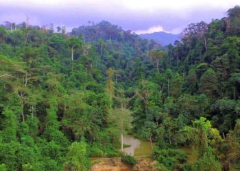 Ghana receives €2.4m from EU to support four forest restoration projects