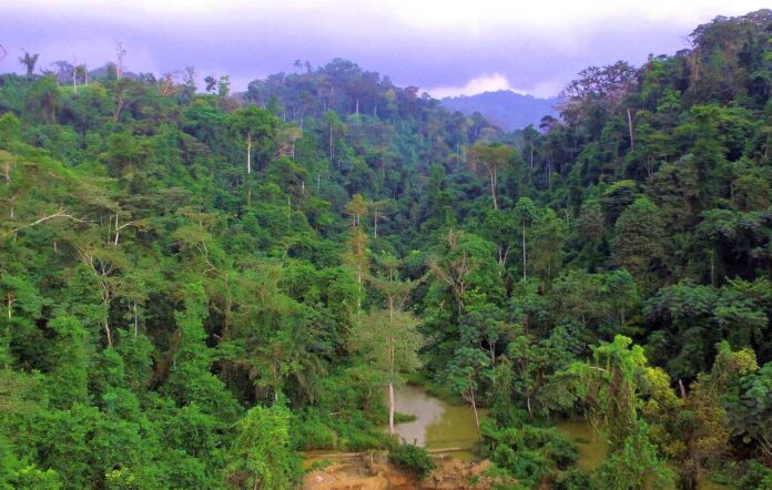 Ghana receives €2.4m from EU to support four forest restoration projects Ghana receives €2.4m from EU to support four forest restoration projects