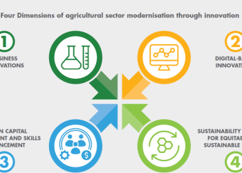 DSTI partners with FAO on Roadmap to Strengthen South Africa’s Agrifood Systems