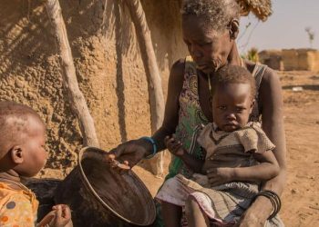 Famine confirmed in Sudan’s El Fasher and Kadugli
