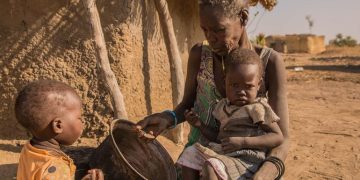 Famine confirmed in Sudan’s El Fasher and Kadugli Famine confirmed in Sudan’s El Fasher and Kadugli