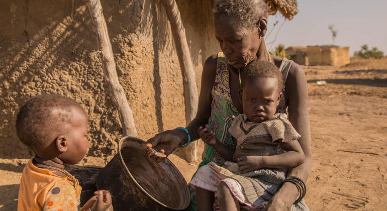 Famine confirmed in Sudan’s El Fasher and Kadugli Famine confirmed in Sudan’s El Fasher and Kadugli