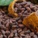 Moving commodities, creating value: MSC’s role in Africa’s cocoa supply chain Moving commodities, creating value: MSC’s role in Africa’s cocoa supply chain
