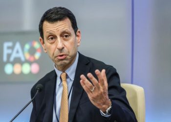 FAO Urges Stronger Focus on Agriculture and Food Systems at COP30