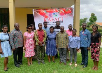 CSIR-CRI Launches Third Phase of KAFACI Tomato Project to Build Climate Resilience