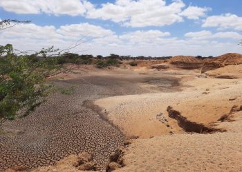 FAO Report: 1.7 billion People Experience Lower Crop Yields due to Land Degradation