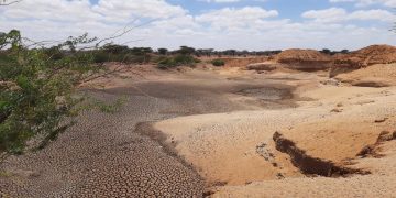 FAO Report: 1.7 billion People Experience Lower Crop Yields due to Land Degradation FAO Report: 1.7 billion People Experience Lower Crop Yields due to Land Degradation