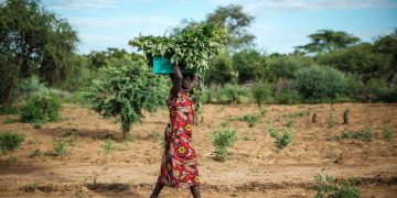 New FAO-WFP report warns of shrinking window to prevent millions more people facing acute food insecurity in 16 hotspots